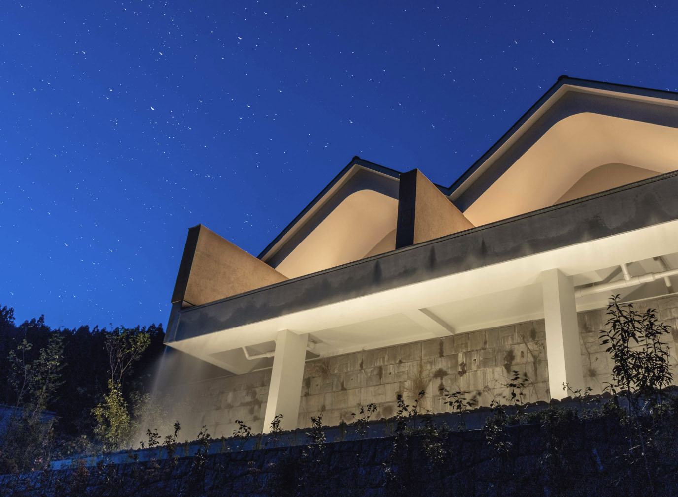 Night image